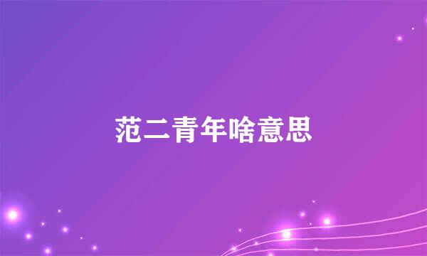范二青年啥意思