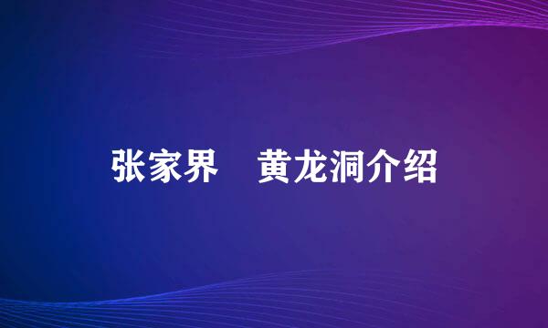 张家界 黄龙洞介绍