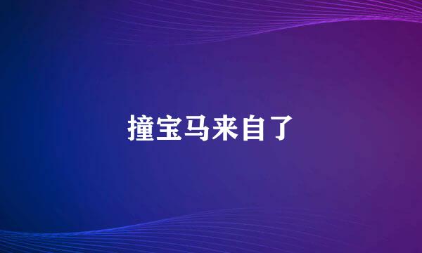 撞宝马来自了