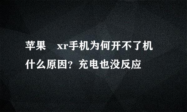 苹果 xr手机为何开不了机 什么原因？充电也没反应