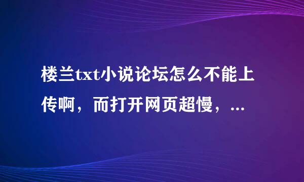 楼兰txt小说论坛怎么不能上传啊，而打开网页超慢，我打开其他的网页速度正常。