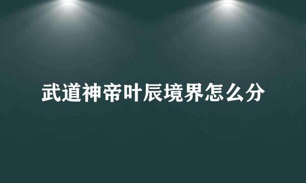 武道神帝叶辰境界怎么分