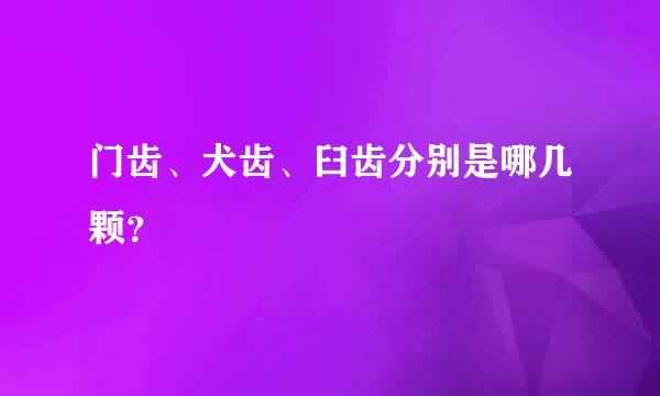 门齿、犬齿、臼齿分别是哪几颗？