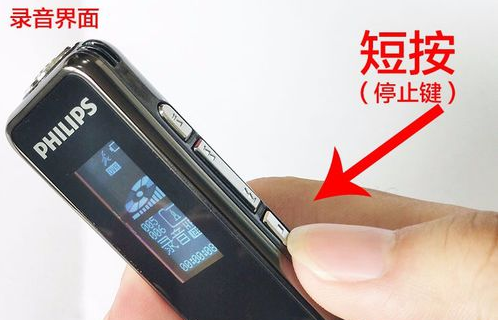 飞利浦录音笔怎么用，详细点