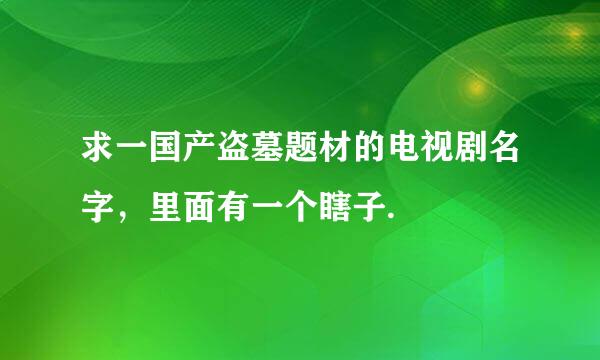 求一国产盗墓题材的电视剧名字，里面有一个瞎子.