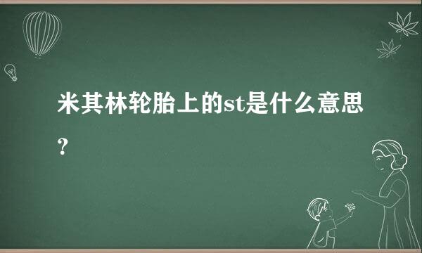 米其林轮胎上的st是什么意思？