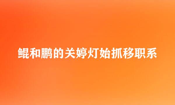 鲲和鹏的关婷灯始抓移职系