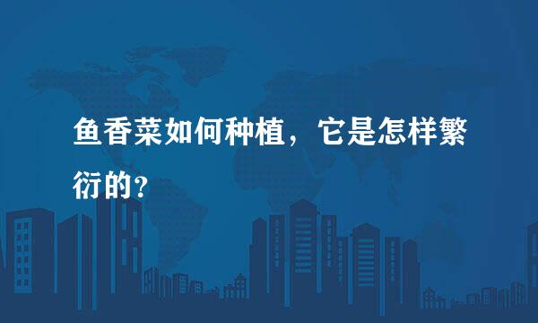 鱼香菜如何种植，它是怎样繁衍的？
