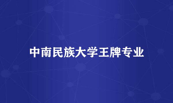 中南民族大学王牌专业