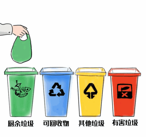 如何进行垃圾分类？