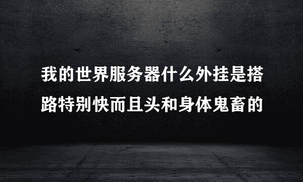 我的世界服务器什么外挂是搭路特别快而且头和身体鬼畜的