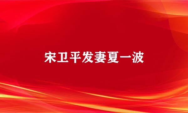宋卫平发妻夏一波