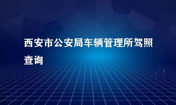 西安市公安局车辆管理所驾照查询