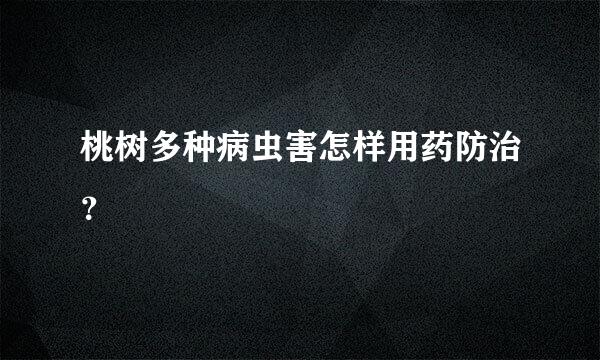 桃树多种病虫害怎样用药防治？