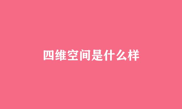 四维空间是什么样