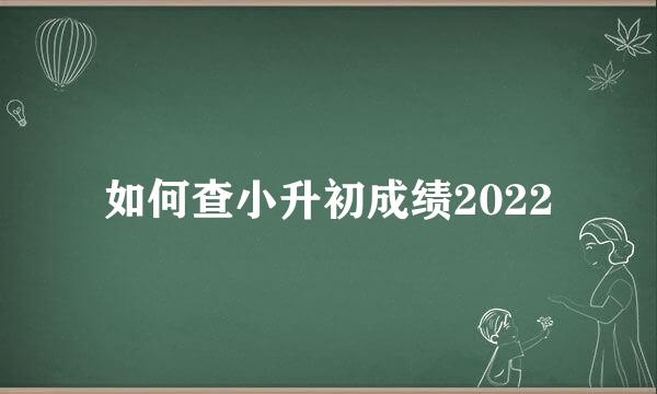 如何查小升初成绩2022