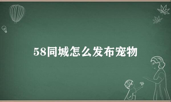 58同城怎么发布宠物