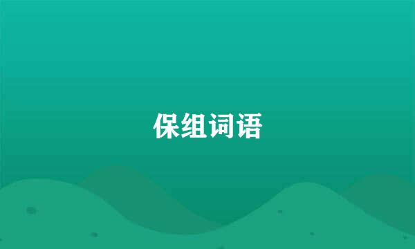 保组词语