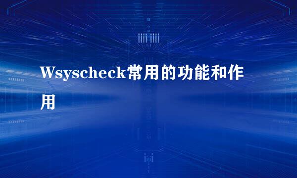 Wsyscheck常用的功能和作用