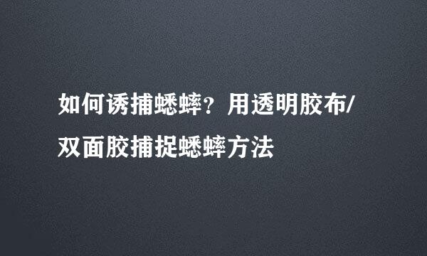 如何诱捕蟋蟀？用透明胶布/双面胶捕捉蟋蟀方法