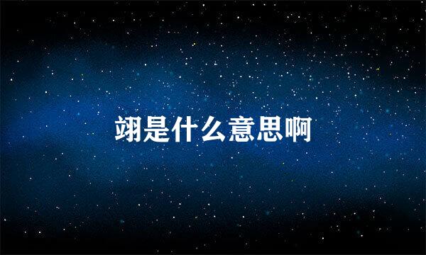翊是什么意思啊