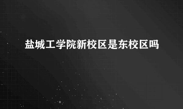 盐城工学院新校区是东校区吗