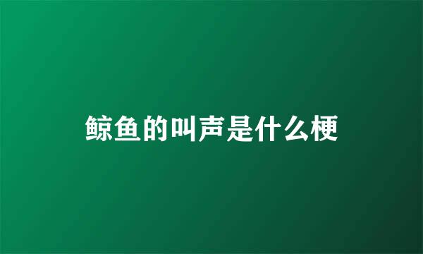 鲸鱼的叫声是什么梗