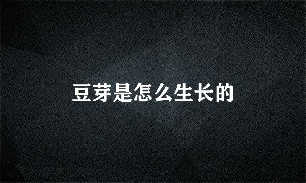 豆芽是怎么生长的