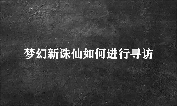 梦幻新诛仙如何进行寻访