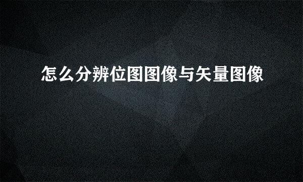怎么分辨位图图像与矢量图像