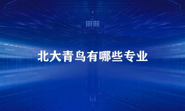 北大青鸟有哪些专业