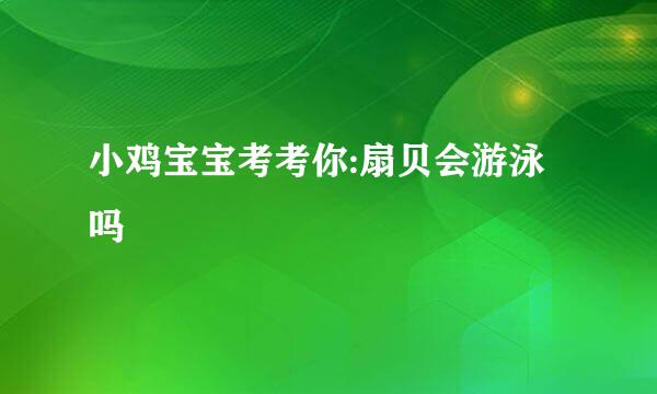 小鸡宝宝考考你:扇贝会游泳吗