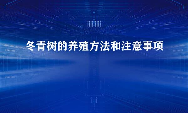 冬青树的养殖方法和注意事项