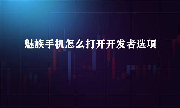 魅族手机怎么打开开发者选项