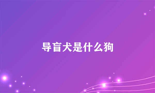 导盲犬是什么狗
