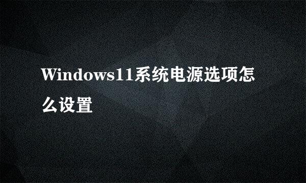 Windows11系统电源选项怎么设置