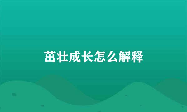 茁壮成长怎么解释