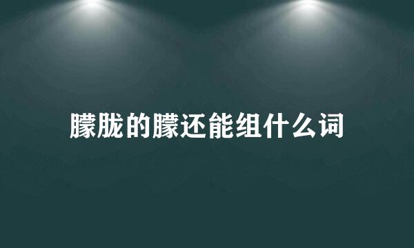 朦胧的朦还能组什么词