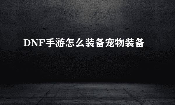 DNF手游怎么装备宠物装备