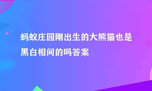 蚂蚁庄园刚出生的大熊猫也是黑白相间的吗答案