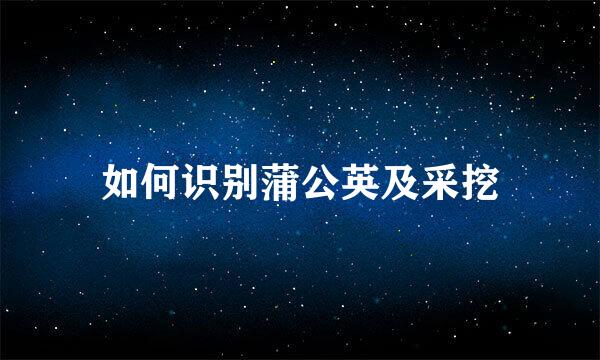 如何识别蒲公英及采挖