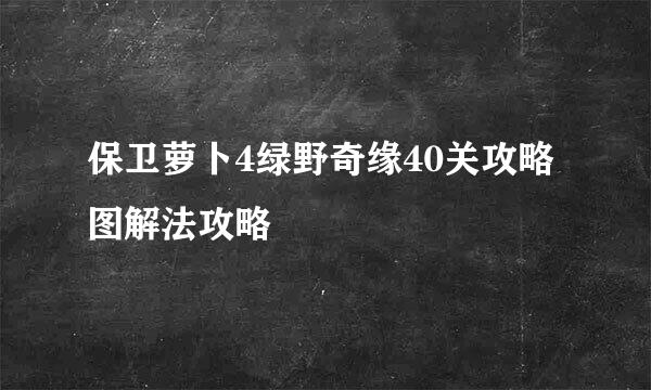 保卫萝卜4绿野奇缘40关攻略图解法攻略
