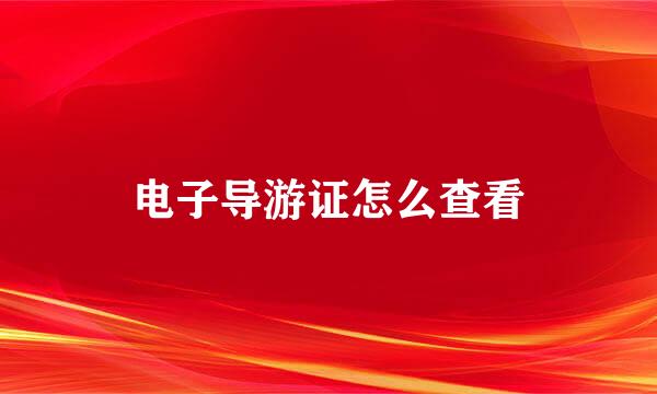 电子导游证怎么查看