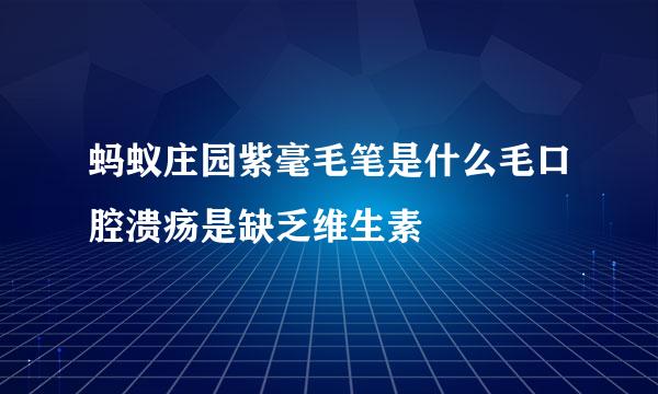 蚂蚁庄园紫毫毛笔是什么毛口腔溃疡是缺乏维生素