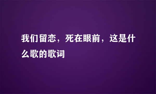 我们留恋，死在眼前，这是什么歌的歌词