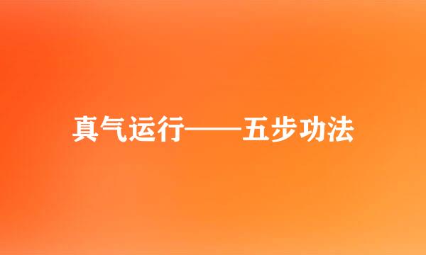 真气运行——五步功法