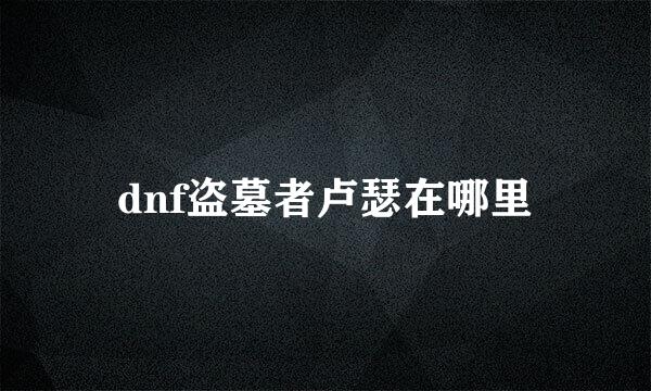 dnf盗墓者卢瑟在哪里