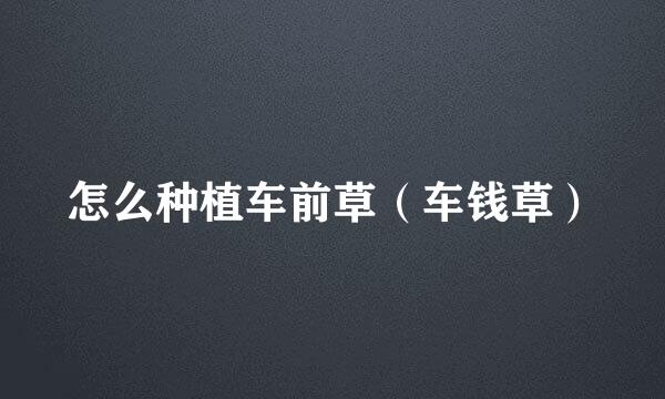 怎么种植车前草（车钱草）