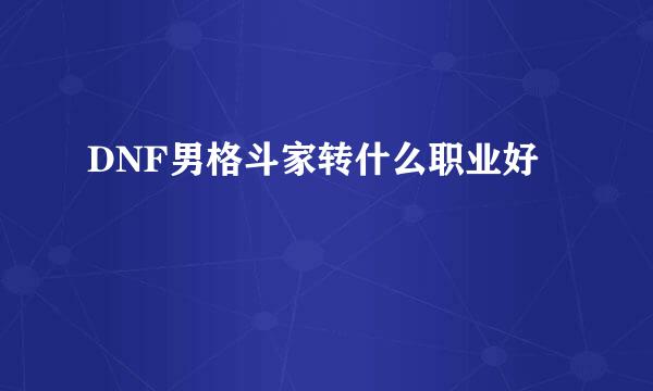 DNF男格斗家转什么职业好