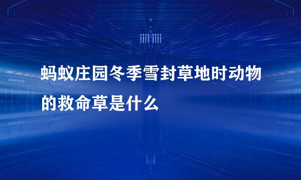 蚂蚁庄园冬季雪封草地时动物的救命草是什么